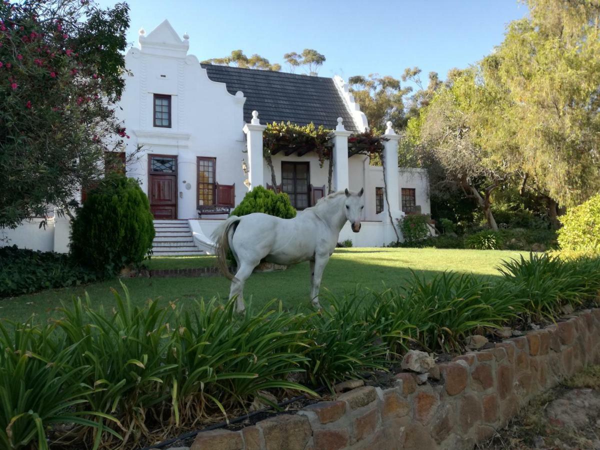 Apartamento Mooiplaas Wine Estate Stellenbosch Exterior foto
